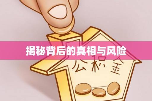 金州新区揭秘背后的真相与风险