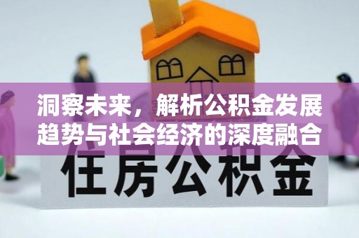金州新区洞察未来，解析公积金发展趋势与社会经济的深度融合
