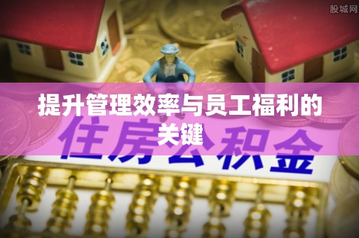 金州新区提升管理效率与员工福利的关键