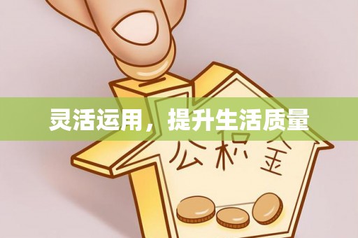 金州新区灵活运用，提升生活质量