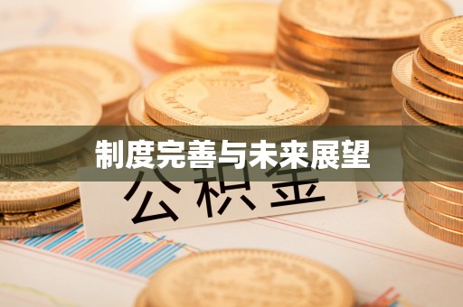 金州新区制度完善与未来展望