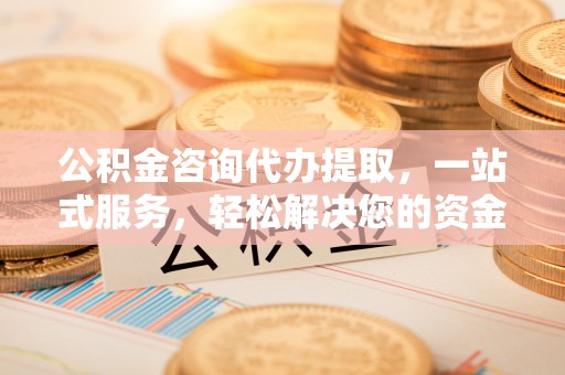 金州新区公积金咨询代办提取，一站式服务，轻松解决您的资金需求
