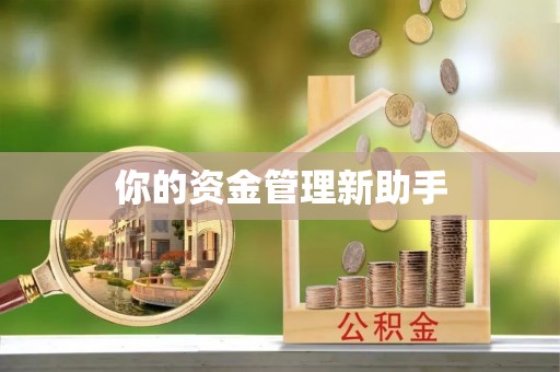 金州新区你的资金管理新助手