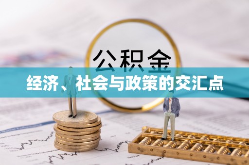 金州新区经济、社会与政策的交汇点
