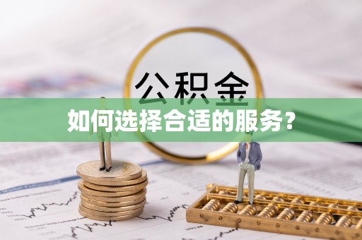 金州新区如何选择合适的服务？