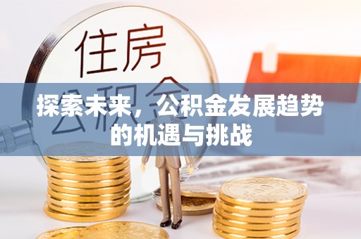 金州新区探索未来，公积金发展趋势的机遇与挑战