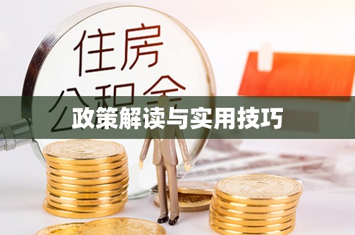 金州新区政策解读与实用技巧