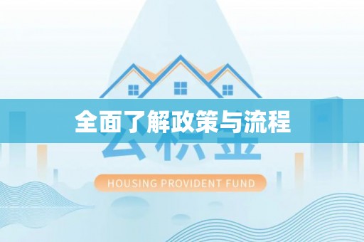 金州新区全面了解政策与流程