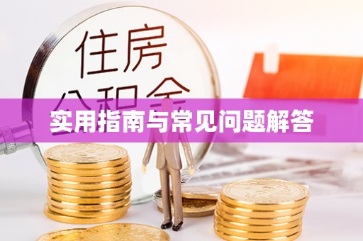 金州新区实用指南与常见问题解答