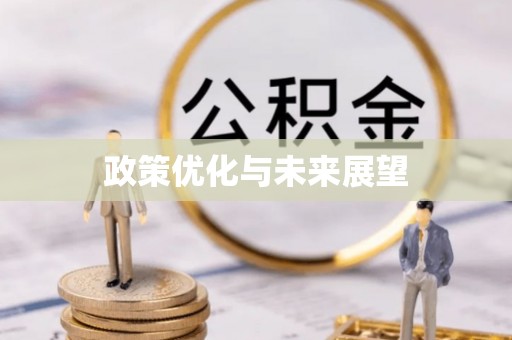 金州新区政策优化与未来展望