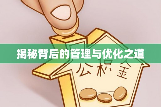 金州新区揭秘背后的管理与优化之道