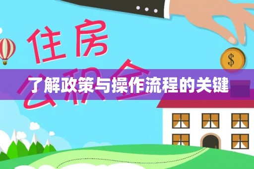 金州新区了解政策与操作流程的关键