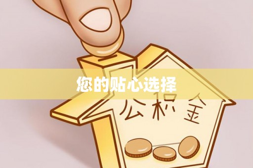 金州新区您的贴心选择