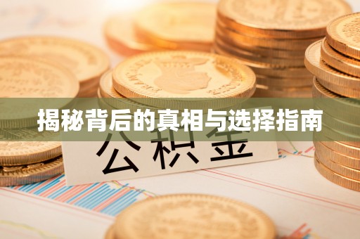 金州新区揭秘背后的真相与选择指南