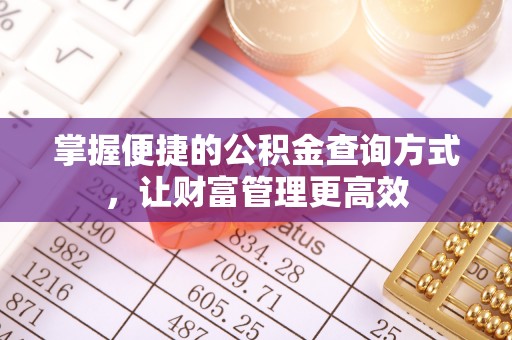 金州新区掌握便捷的公积金查询方式，让财富管理更高效