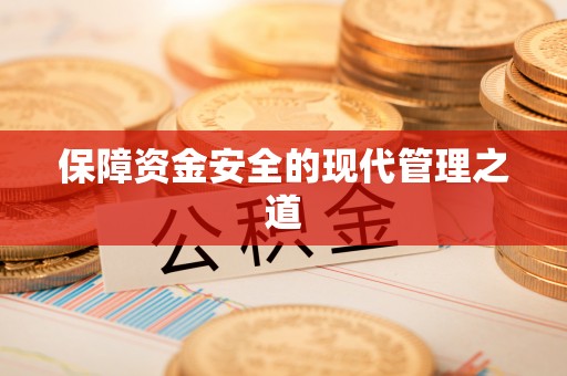 金州新区保障资金安全的现代管理之道