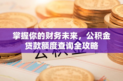 金州新区掌握你的财务未来，公积金贷款额度查询全攻略