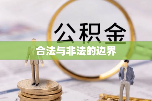金州新区合法与非法的边界