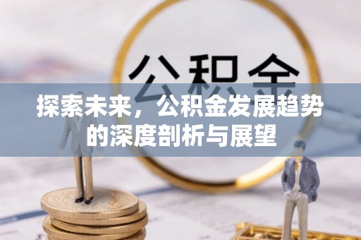 金州新区探索未来，公积金发展趋势的深度剖析与展望