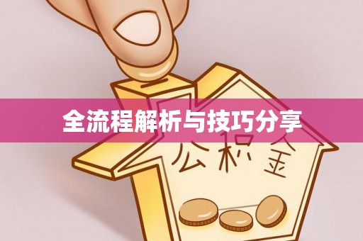 金州新区全流程解析与技巧分享