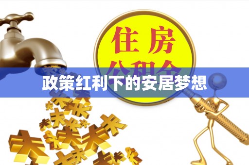金州新区政策红利下的安居梦想