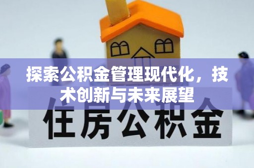 金州新区探索公积金管理现代化，技术创新与未来展望