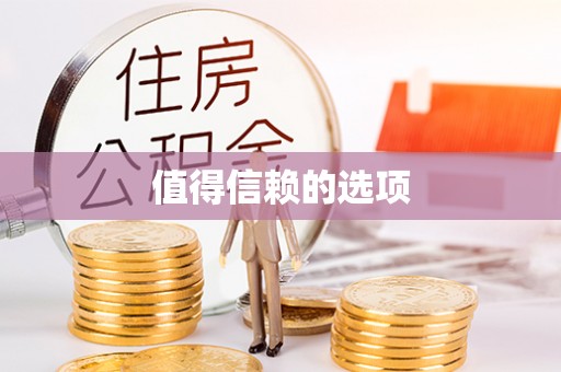 金州新区值得信赖的选项