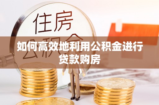 金州新区如何高效地利用公积金进行贷款购房