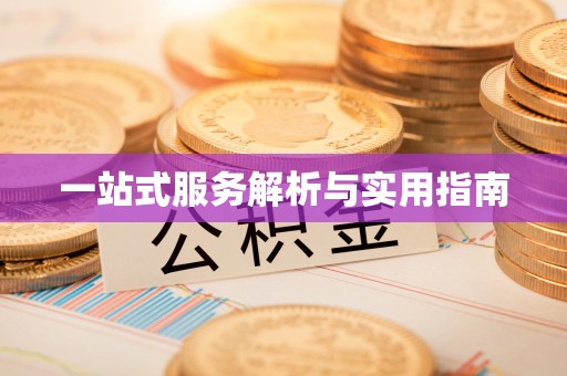 金州新区一站式服务解析与实用指南