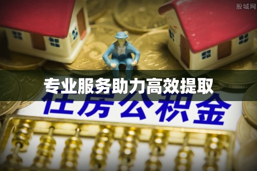 金州新区专业服务助力高效提取