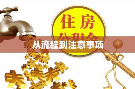 金州新区从流程到注意事项