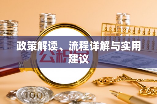 金州新区政策解读、流程详解与实用建议