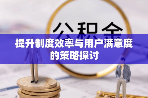 金州新区提升制度效率与用户满意度的策略探讨