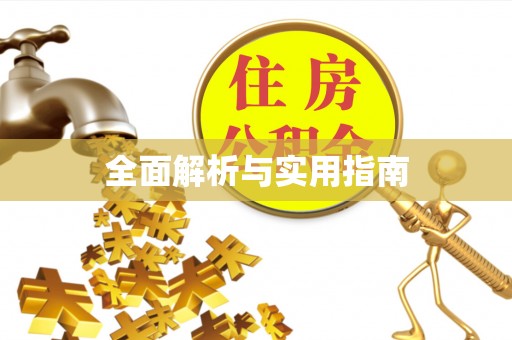 金州新区全面解析与实用指南