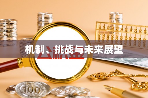 金州新区机制、挑战与未来展望